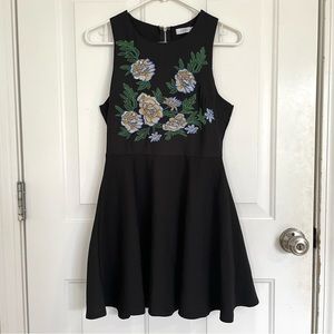 Tobi Embroidered Skater Dress